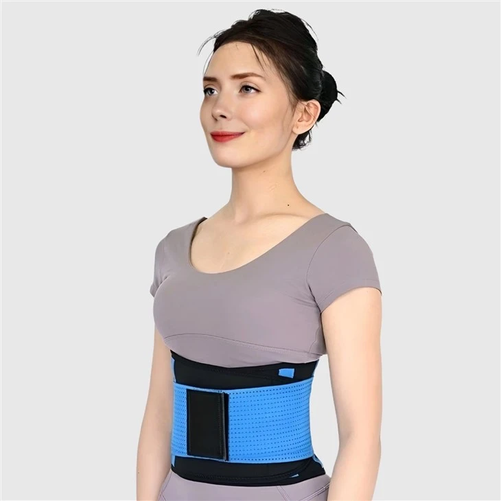 lumbar mesh support